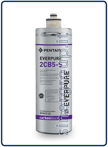 Everpure 2CB5S antiscale replacement filter 11.3400lt. - 3,8lt./min. 5 micron (6)