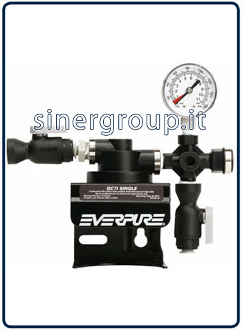 Everpure QC7I testata singola di ricambio con valvola apri/chiudi/flussaggio 3/8" NPT (1) - Clicca l'immagine per chiudere