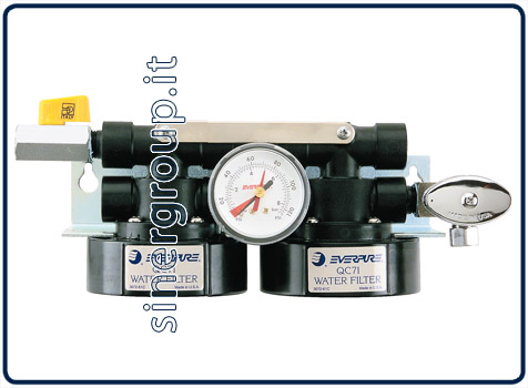 Everpure QC7I Twin replacement filter head with shut off valve/flushing 3/8" NPT (1)
