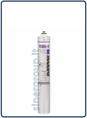 Everpure 7CB5S anticalcare filtro ricambio 37.800lt. - 9,46lt./min. 5 micron (6) - Clicca l'immagine per chiudere