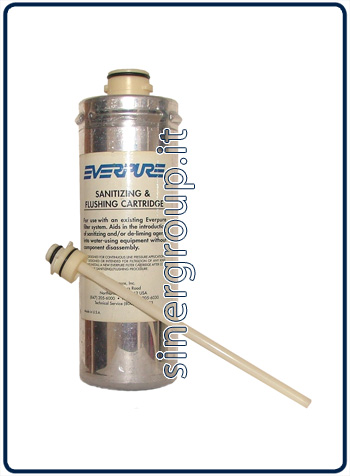 Everpure JT empty filter to sanitize descale